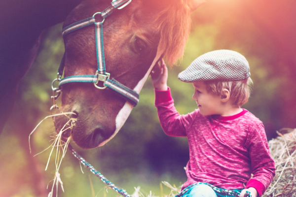 Equoterapia: O Poder Transformador da Relação entre Homem e Cavalo