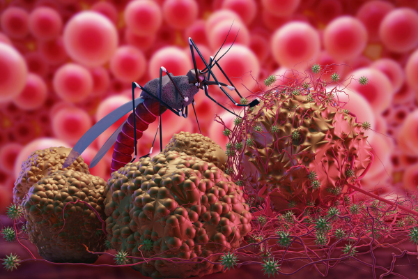 Malária e seus sintomas: O Inimigo Invisível que Ameaça a Saúde Global